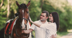 4 Horsemen of Relationships