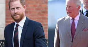 prince-harry-king-charles-relationship-status