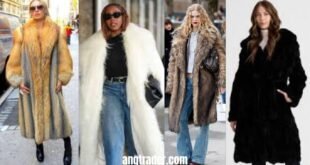 Fur and Coat